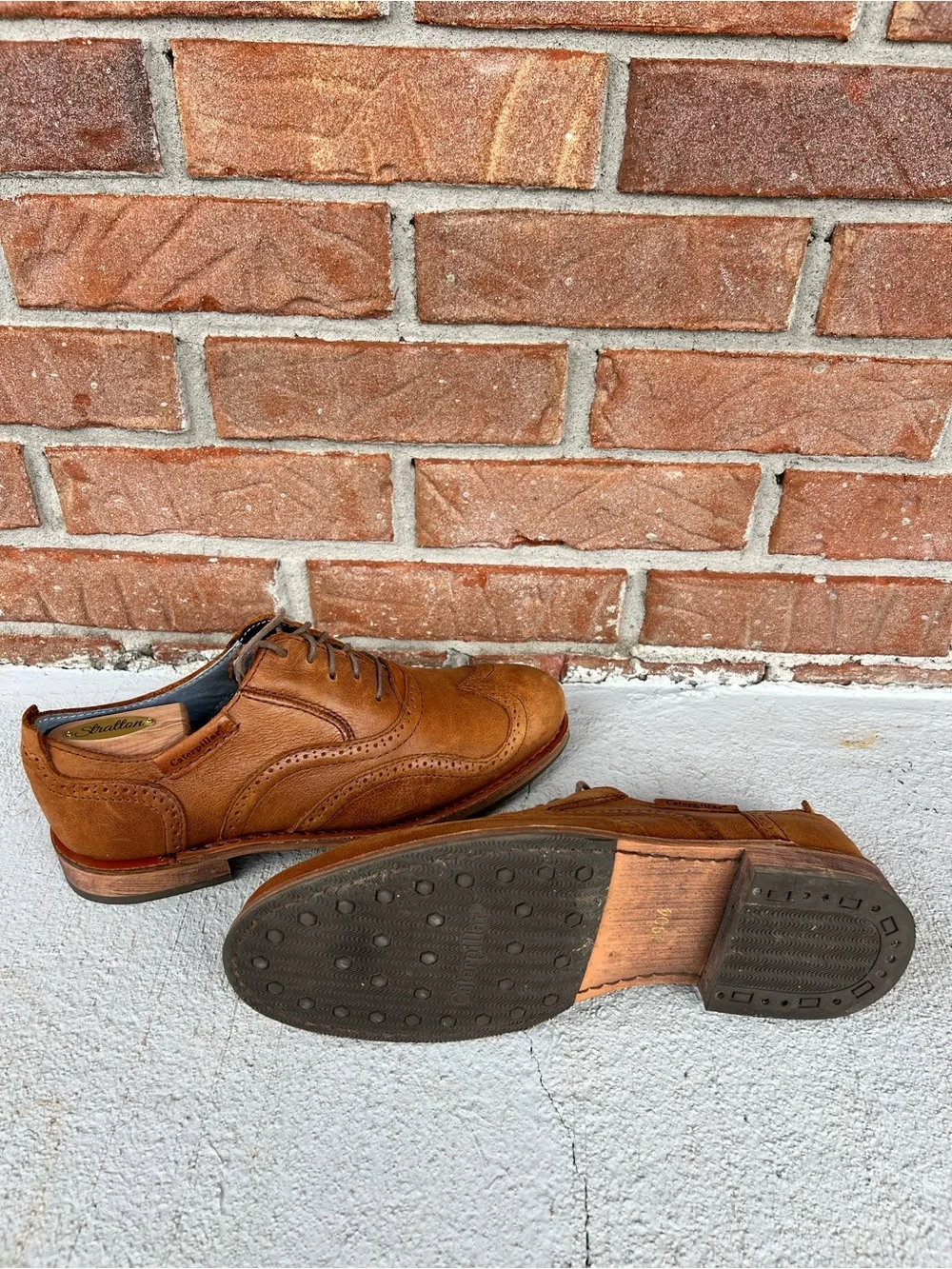 Caterpillar classic wingtip